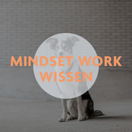 Vom Wissen zum Tun! Mindset Work im Hundetraining