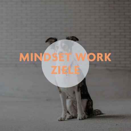 Aufzeichnung Webinar Mindset Work in der Hundeerziehung - Hundetrainer Kanton Zug