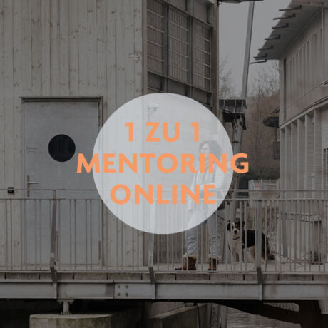 1 zu 1 Mentoring - 1h Online