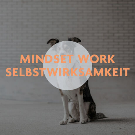 Aufzeichnung - Mini-Webinar MINDSET WORK Nr. 3 - Selbstwirksamkeit