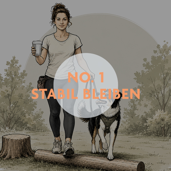 Unterrichtskonzepte für Hundetrainer:innen