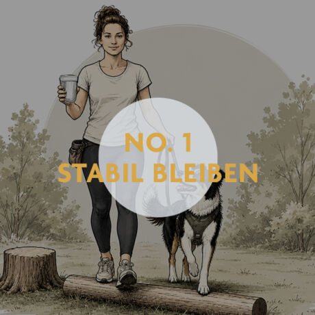 Unterrichtskonzepte für Hundetrainer:innen