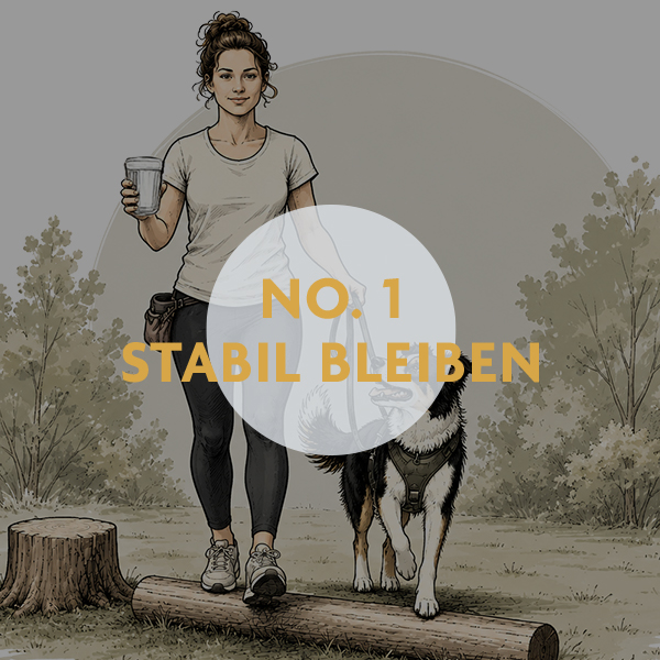 Unterrichtskonzepte für Hundetrainer:innen