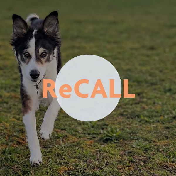 ReCALL – Rückruf beginnt nicht beim «Hier»