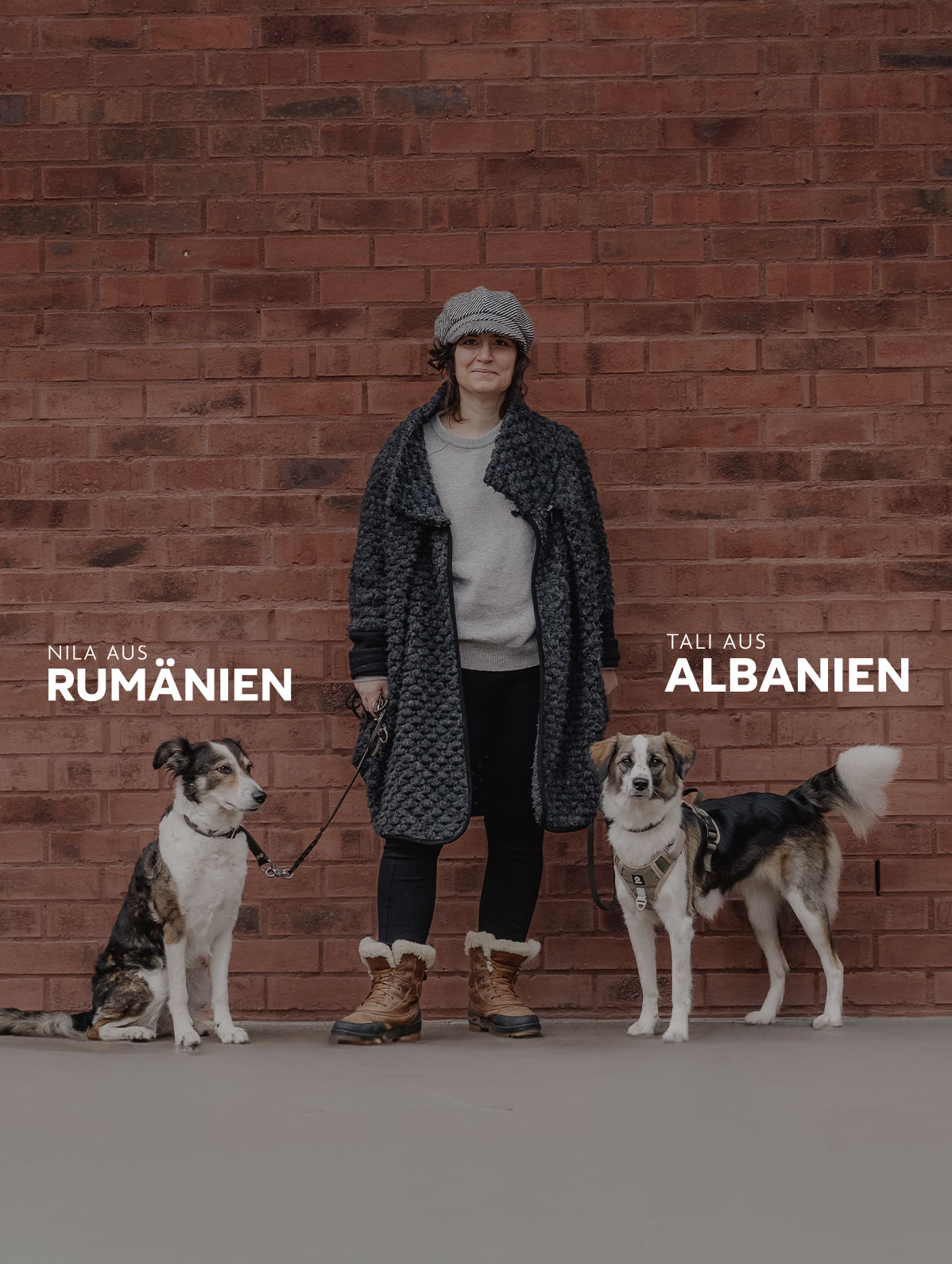 Zwei Hunde mehrfarbig einer aus Rumänisen einer aus Albanien und ich als Hundetrainerin stehen vor einer roten Wand